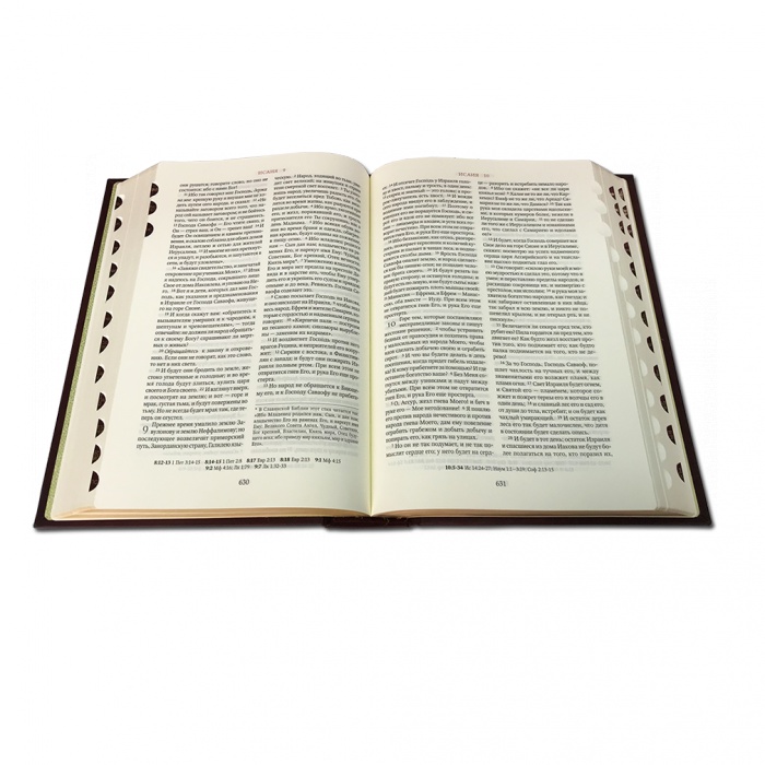 Библия (эксклюзивное издание с литьем)