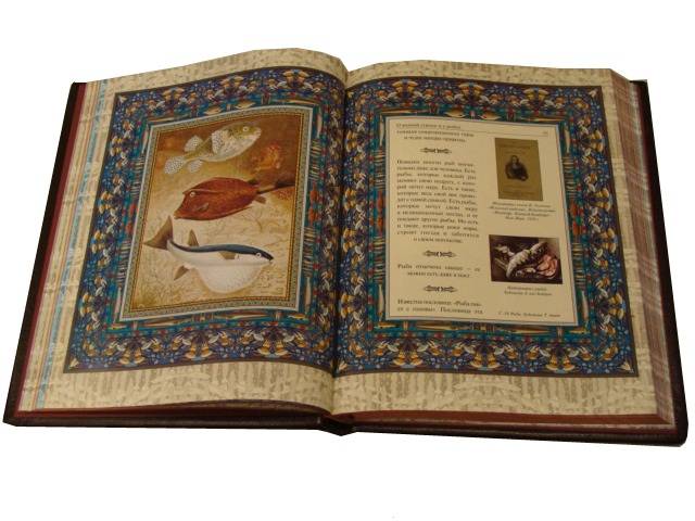 Философия рыбалки