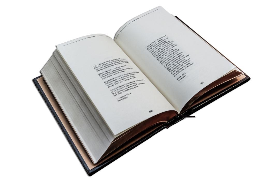 Библиотека русской классики в 100 томах в эксклюзивном издании