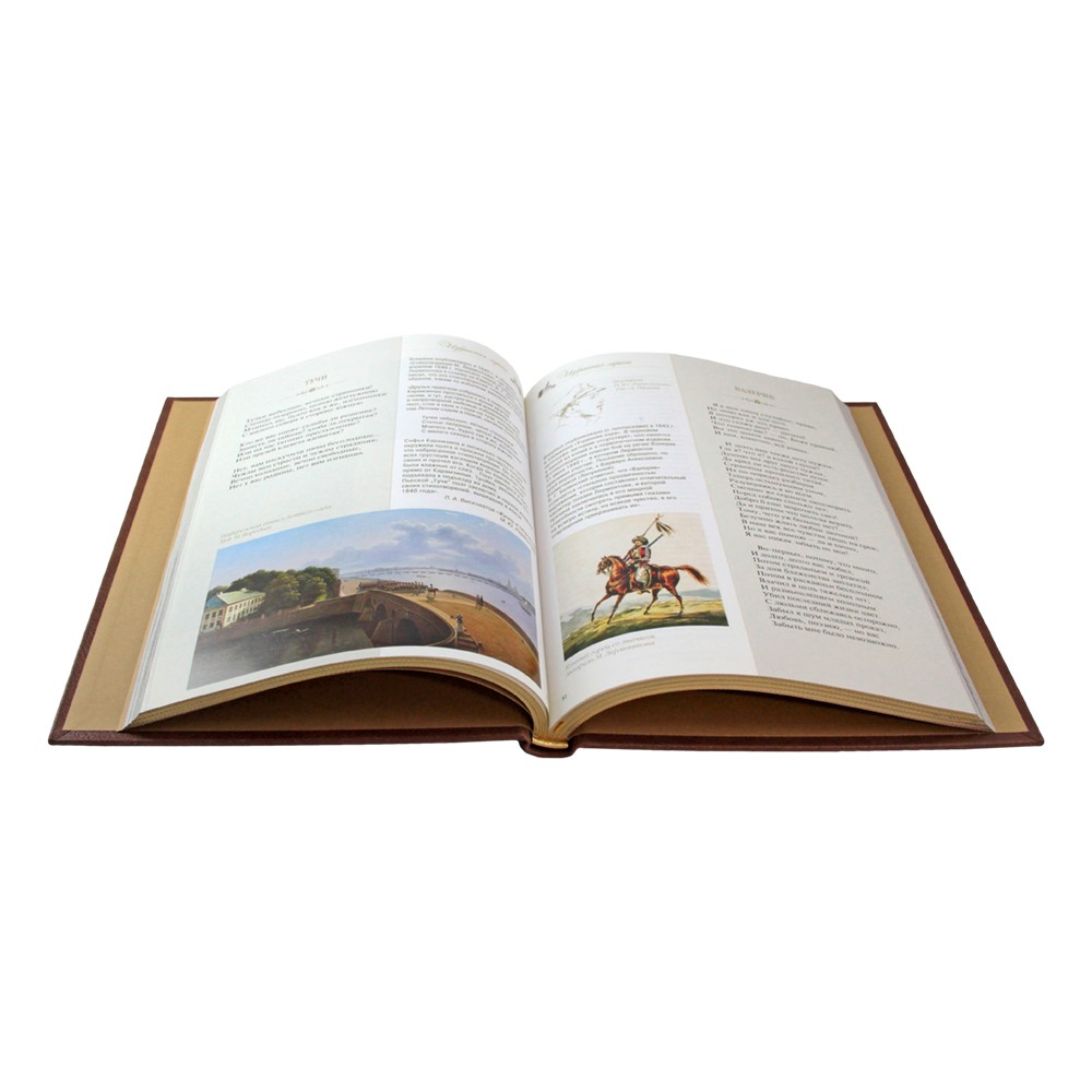 Стихотворения и поэмы с иллюстрациями и комментариями. Михаил Лермонтов