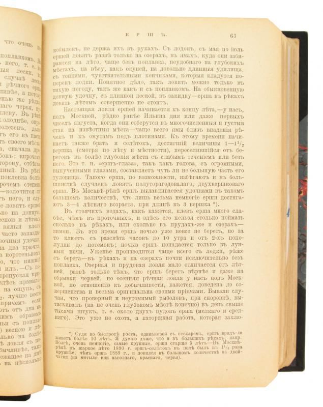 Сабанеев Л. П. Рыбы России. Жизнь и ловля (ужение) наших пресноводных рыб