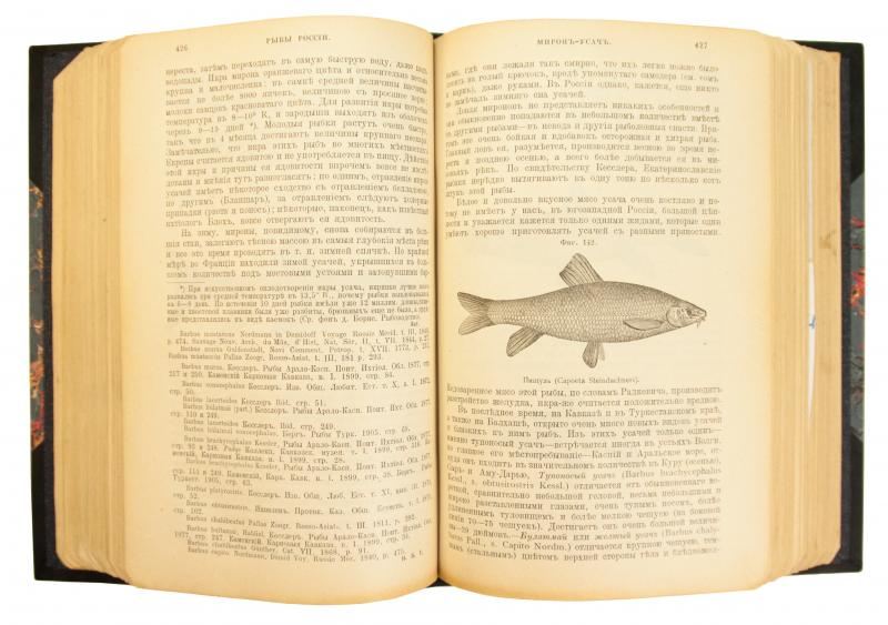 Сабанеев Л. П. Рыбы России. Жизнь и ловля (ужение) наших пресноводных рыб
