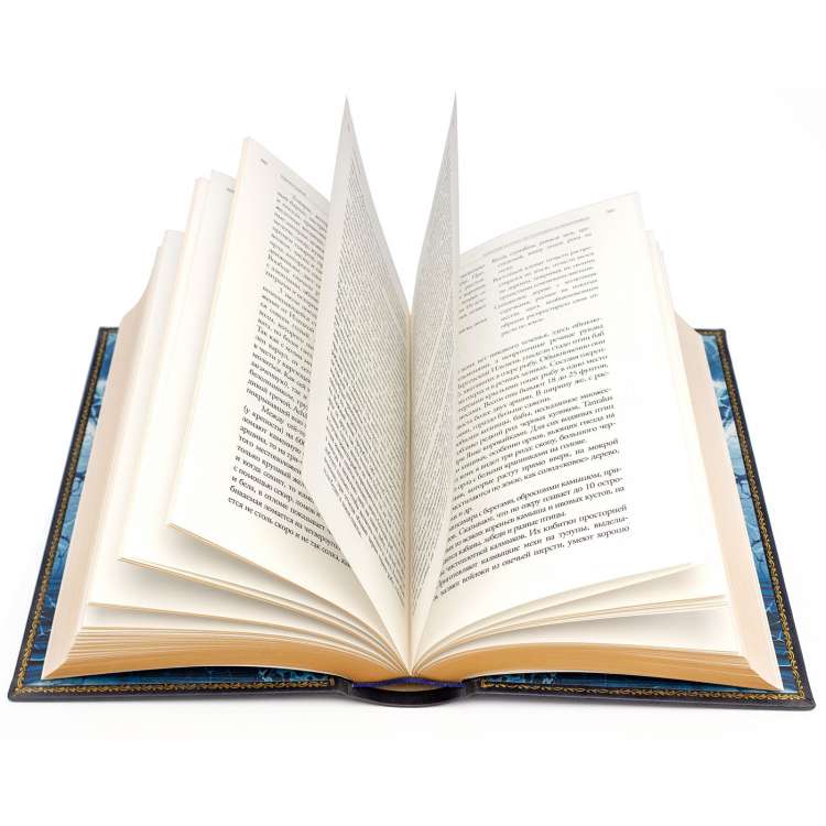 Н. В Гоголь. Полное собрание сочинений