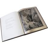 Сцены из Дон Кихота в иллюстрациях Гюстава Доре