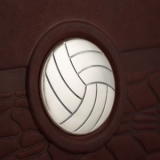 «Волейбол» с серебром. Подарочная книга