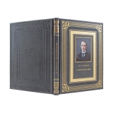 Стихотворения с иллюстрациями и комментариями. Николай Гумилев