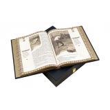 ВЕЧЕРА НА ХУТОРЕ БЛИЗ ДИКАНЬКИ. МИРГОРОД