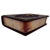 БИБЛИЯ В ЛАРЦЕ