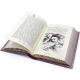 Джонатан Свифт Путешествия Гулливера подарочное издание