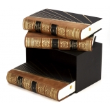 Подвиги человеческого ума